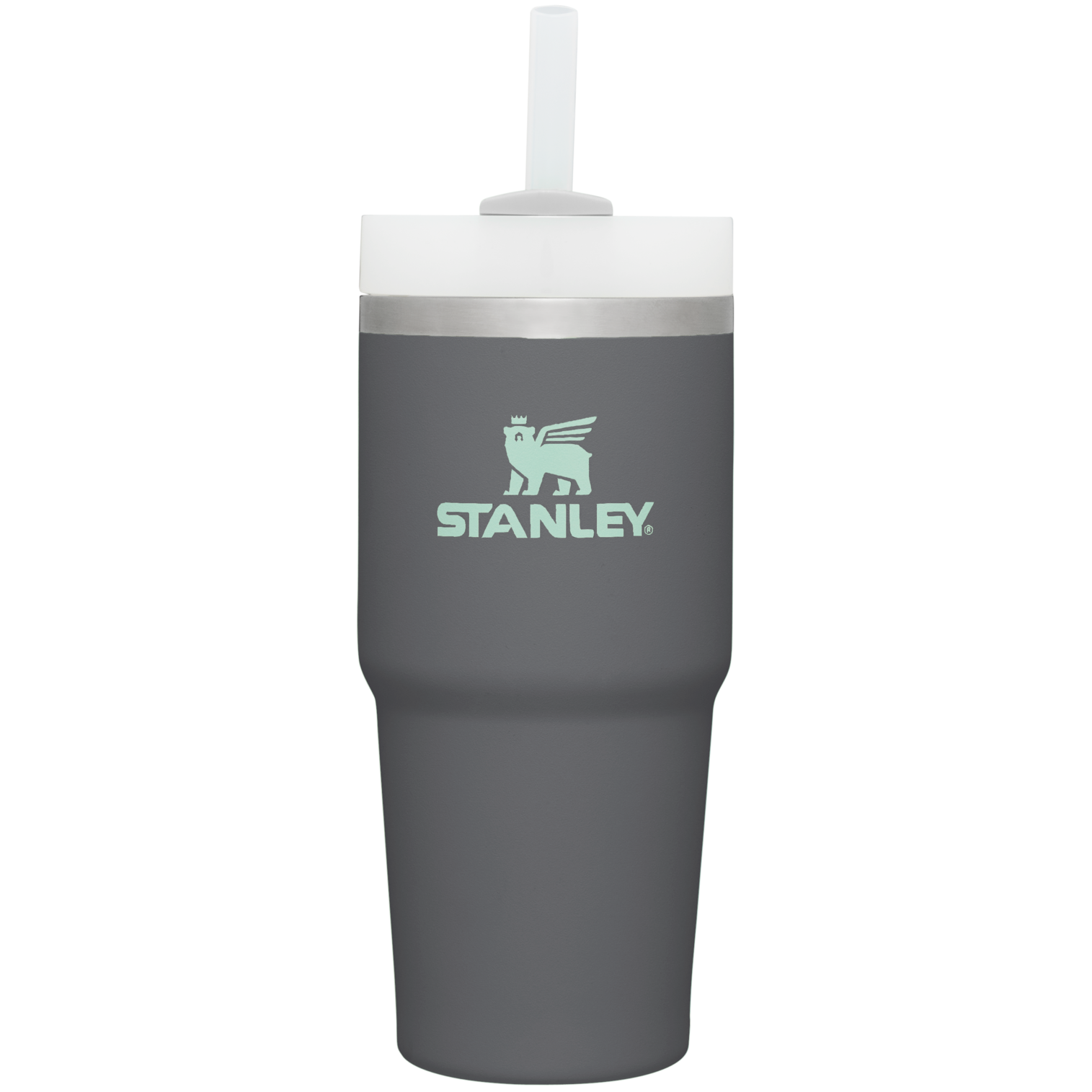Insulated Travel The Quencher H2.0 Flowstate Tumbler D214X - Premium Stainless Steel Straw Cup for All-Day Hydration Detail