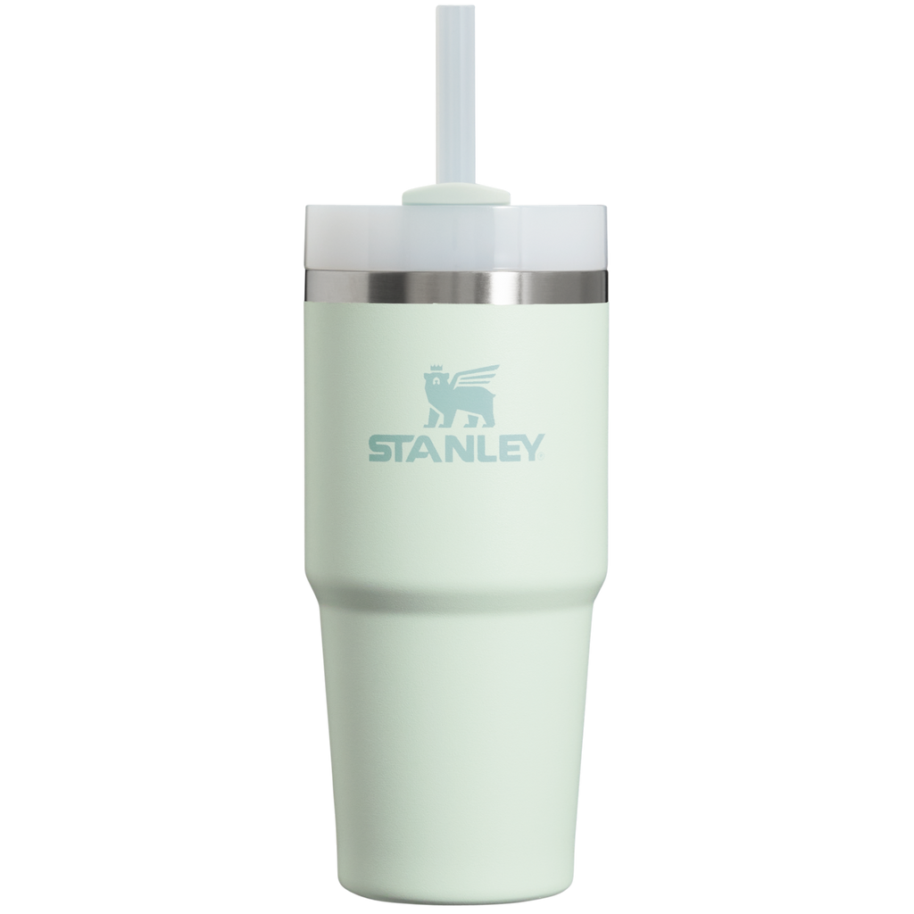 Insulated Travel The Quencher H2.0 Flowstate Tumbler D214X - Premium Stainless Steel Straw Cup for All-Day Hydration Detail