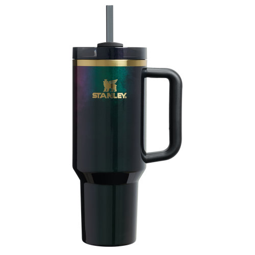 Car-Cup Friendly The Wicked for Good Quencher H2.0 Flowstate Tumbler D245R - FlowState 3-Position Lid Insulated Travel Mug - Elphaba For Good