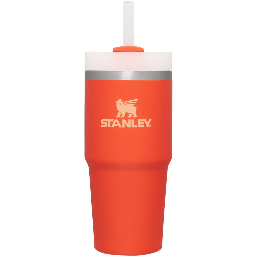Insulated Travel The Quencher H2.0 Flowstate Tumbler D214X - Premium Stainless Steel Straw Cup for All-Day Hydration Detail