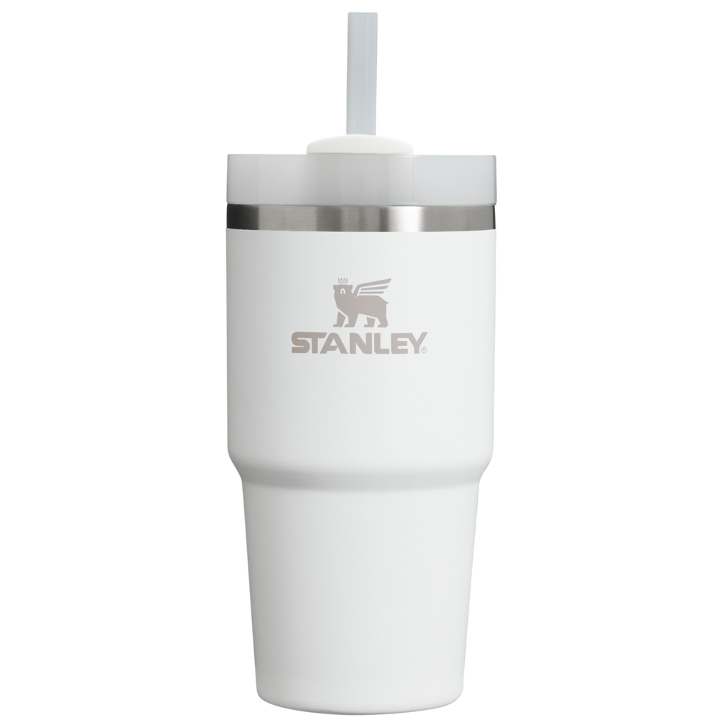 Insulated Travel The Quencher H2.0 Flowstate Tumbler D030T - Premium Stainless Steel Straw Cup for All-Day Hydration - Frost