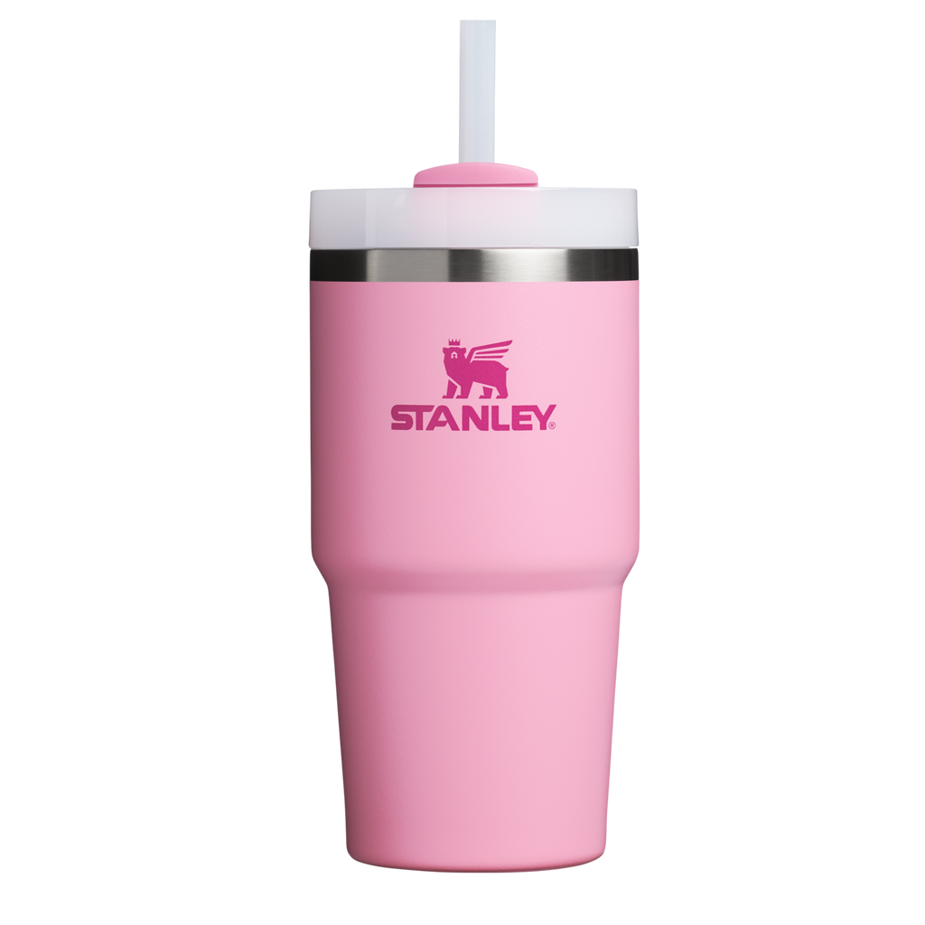 Insulated Travel The Quencher H2.0 Flowstate Tumbler D030T - Premium Stainless Steel Straw Cup for All-Day Hydration - Ash