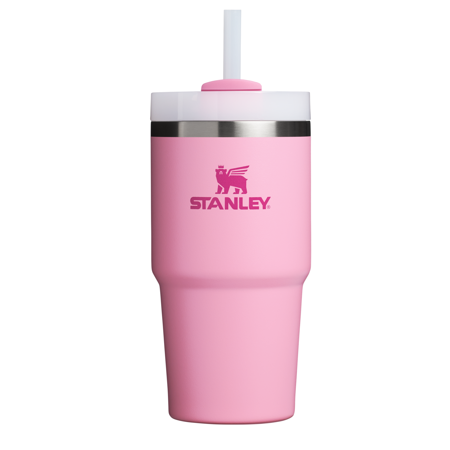 Insulated Travel The Quencher H2.0 Flowstate Tumbler D030T - Premium Stainless Steel Straw Cup for All-Day Hydration - Ash