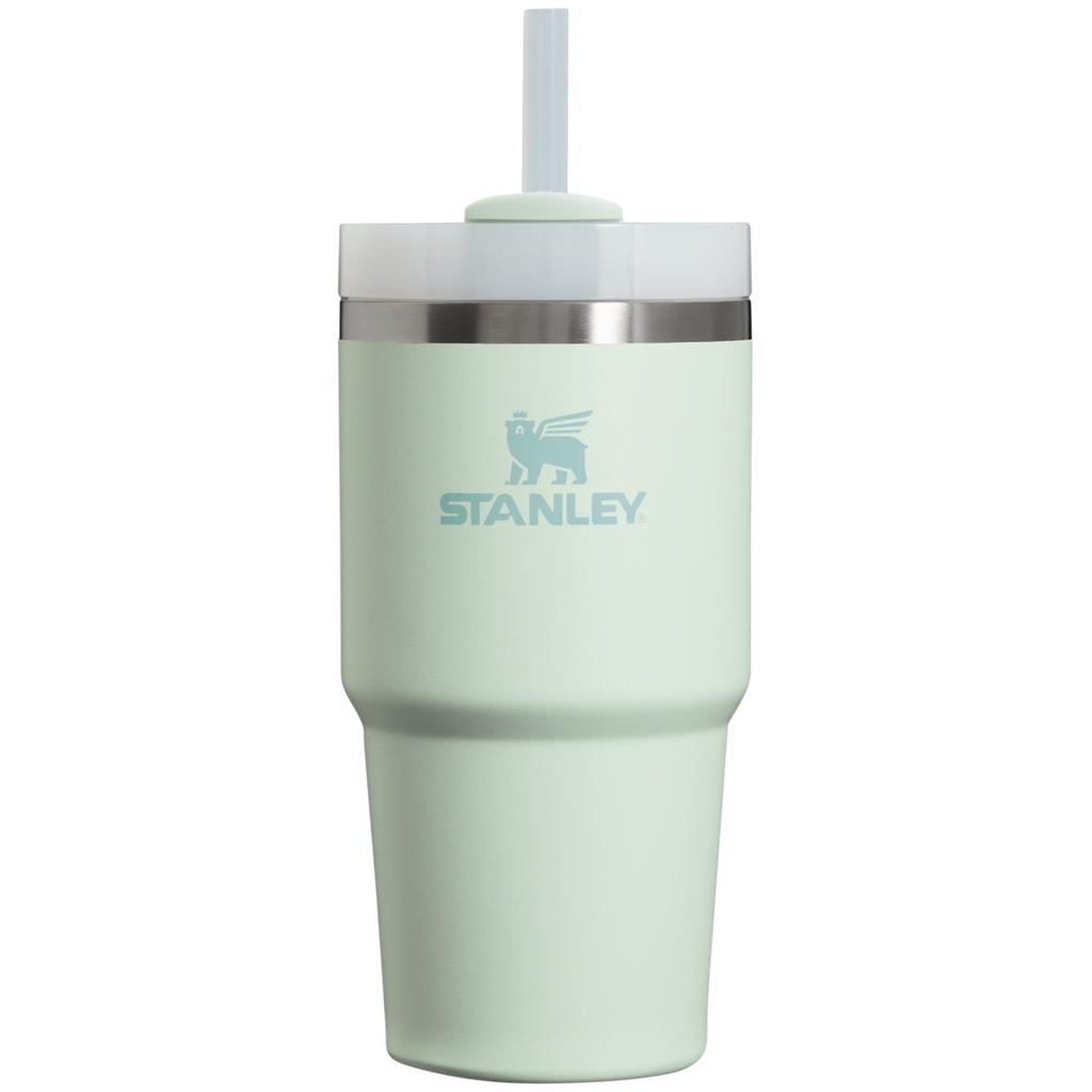 Insulated Travel The Quencher H2.0 Flowstate Tumbler D030T - Premium Stainless Steel Straw Cup for All-Day Hydration - Mist
