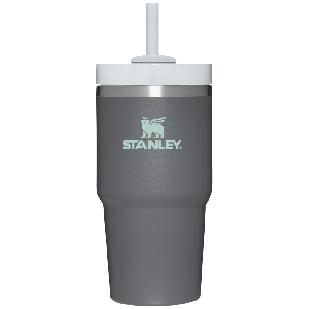 Insulated Travel The Quencher H2.0 Flowstate Tumbler D030T - Premium Stainless Steel Straw Cup for All-Day Hydration - Charcoal
